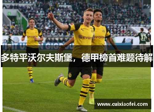 多特平沃尔夫斯堡，德甲榜首难题待解