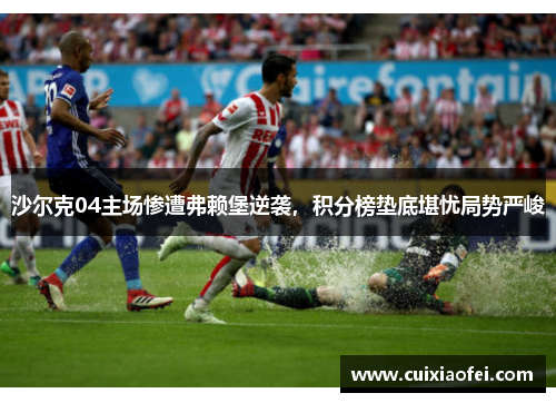 沙尔克04主场惨遭弗赖堡逆袭,积分榜垫底堪忧局势严峻 沙尔克04主场惨遭弗赖堡逆袭,积分榜垫底堪忧局势严峻