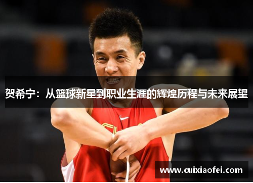 贺希宁：从篮球新星到职业生涯的辉煌历程与未来展望